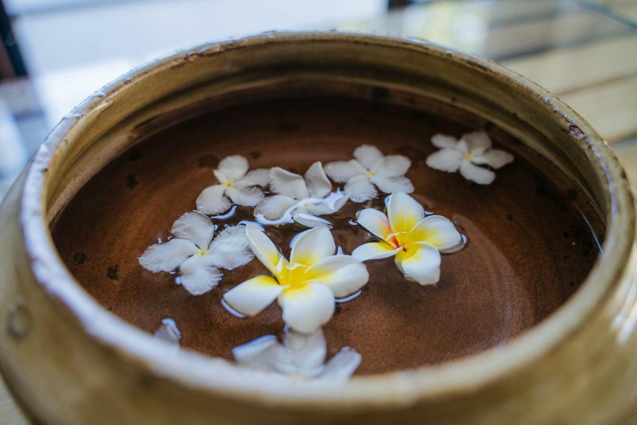 Hoi An Lotus Aroma Villa エクステリア 写真